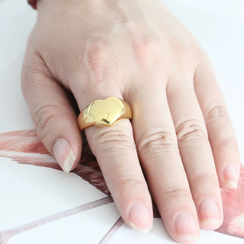 365 Stainless Steel Punk Rock  - đánh giá và giá Initial Ring Custom